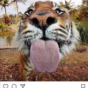 Meet your Posher, Marco